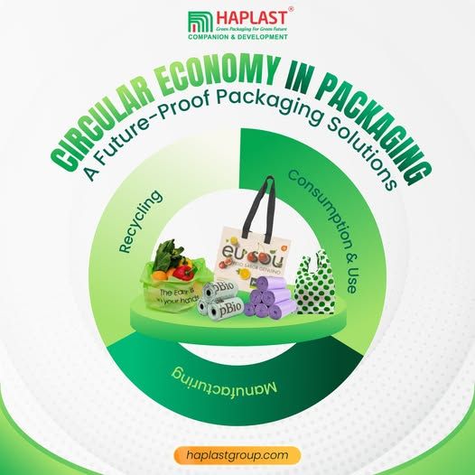 657605581_1295661319327312_7934841579526304155_n